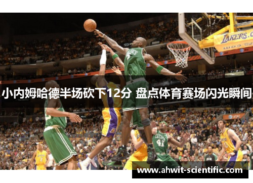 小内姆哈德半场砍下12分 盘点体育赛场闪光瞬间