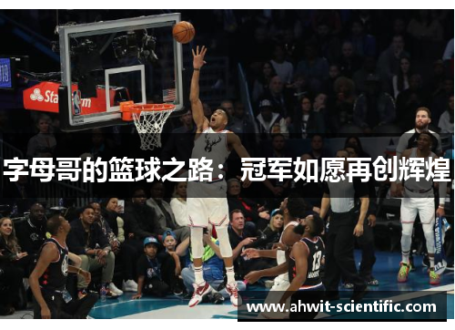 字母哥的篮球之路：冠军如愿再创辉煌